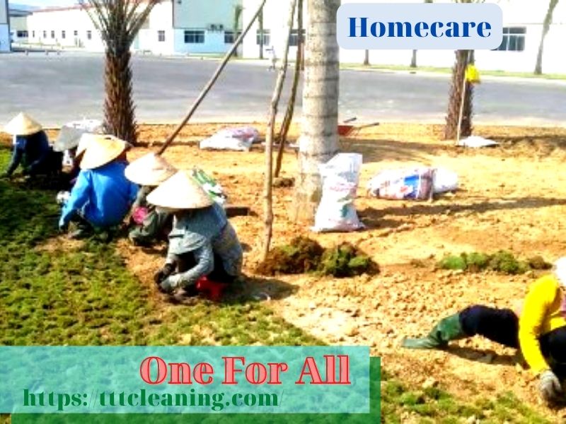 Dịch vụ vệ sinh Homecare ,dịch vụ vệ sinh công nghiệp Homecare ,Dịch vụ vệ sinh Homecare tại Tp Hồ chí Minh ,Dịch vệ sinh tại Tp Hồ Chí Minh ,DVVS Homecare ;