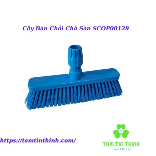 Cây Bàn Chải Chà Sàn SCOP00129