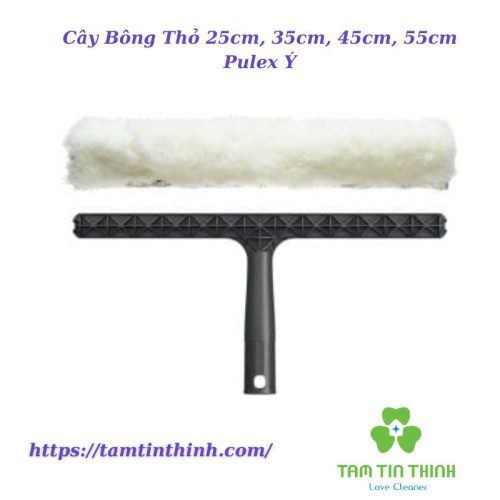 Cây Bông Thỏ 25cm, 35cm, 45cm, 55cm Pulex Ý