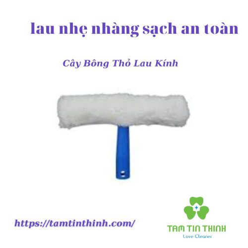 Cây Lông Thỏ Lau Kính